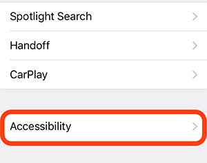 accessibility screenshot